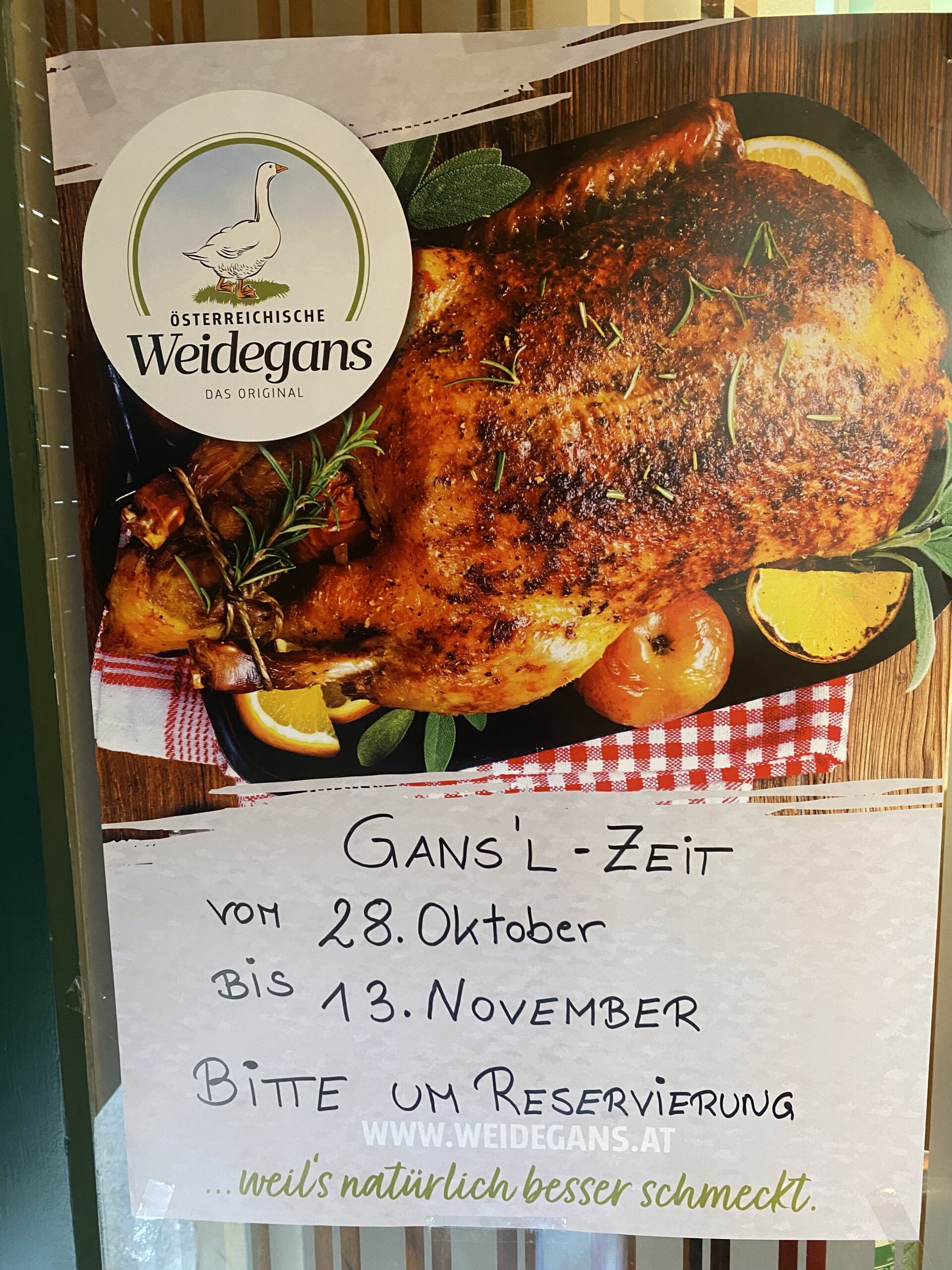 Dateivorschau